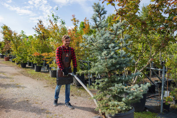 Professional Tree Service in Pinconning, MI